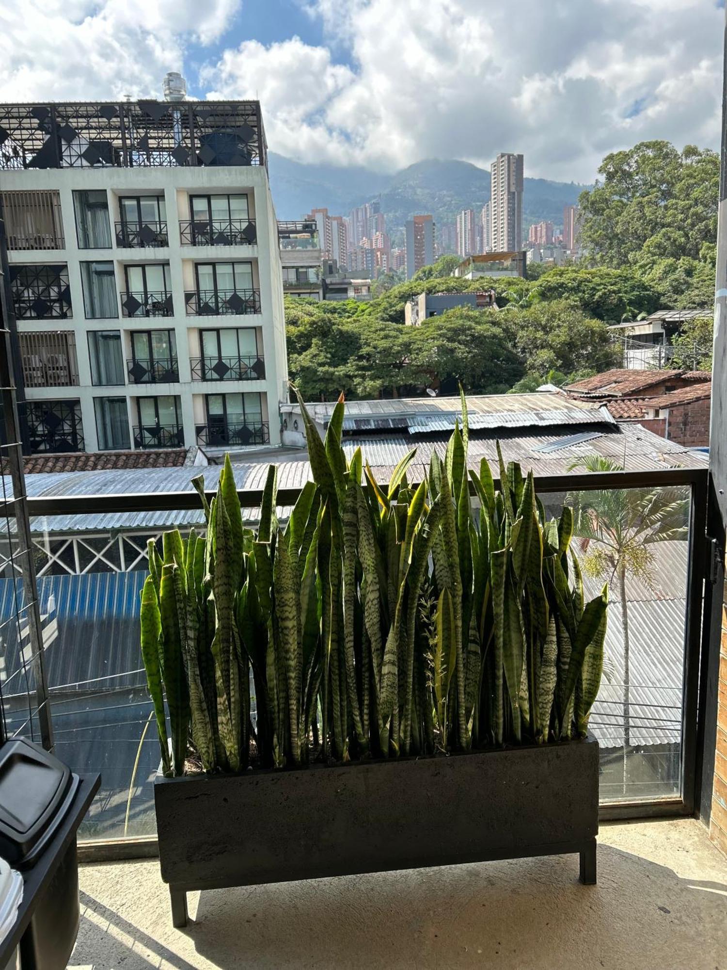 Hotel Lleras Medellín Exteriér fotografie